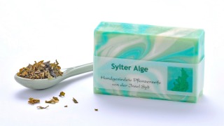 Sylter Alge